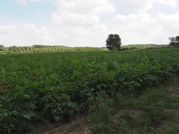 Kwaremont (Belgium)